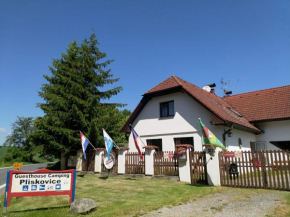 Camping & Guest House Pliskovice, Mirovice